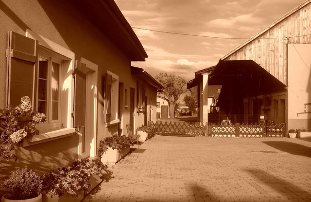 Charming cottage at the DE LA TORRE farm
