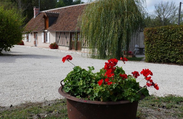 Charming Cottage for 5 with Terrace, Near Loire Castles, Pet Friendly, Internet, Baby Amenities