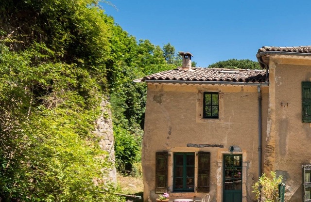 Charming cottage in lush countryside surrounded by llamas