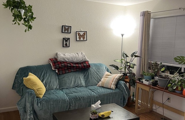 Charming, cozy apartment in Midtown Reno!