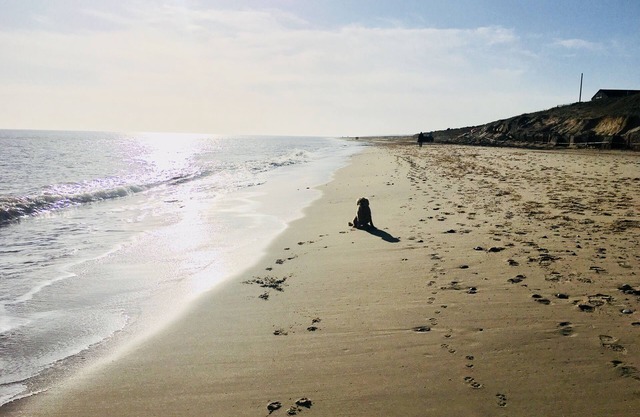 Charming, dog friendly fisherman’s cottage - moments from the beach