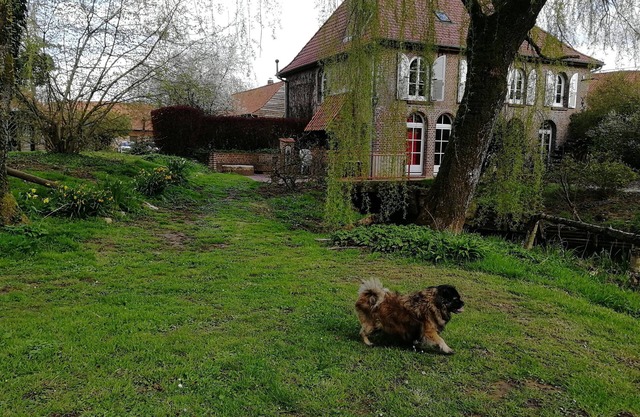 Charming gite in a mill