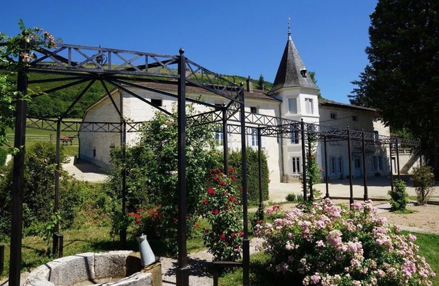 CHARMING GITE IN COURMANGOUX IN THE AIN REGION, 1 H FROM LYON AND 1H30 FROM SUIS