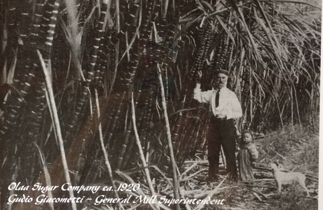 Charming Historic Sugar Era Family Home Close to Volcanoes National Park!