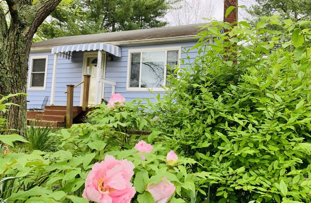 Charming Home .4 miles from IU, Walk EVERYWHERE