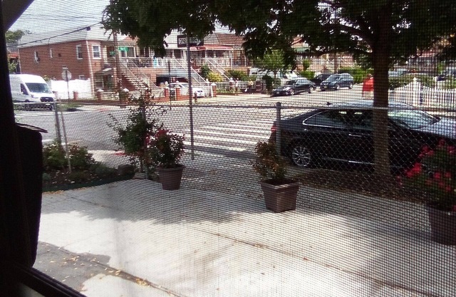 Charming house in Brooklyn with WiFi, AC for up to three people in living room