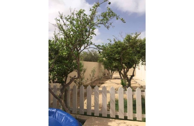 Charming house in Djerba -Houmt Souk