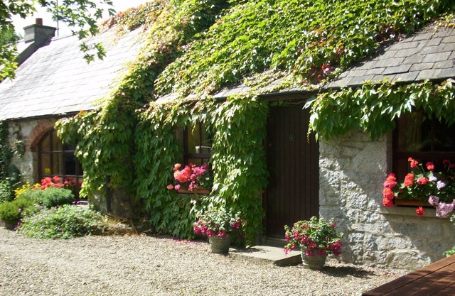 Charming old-world country cottage, near Adare