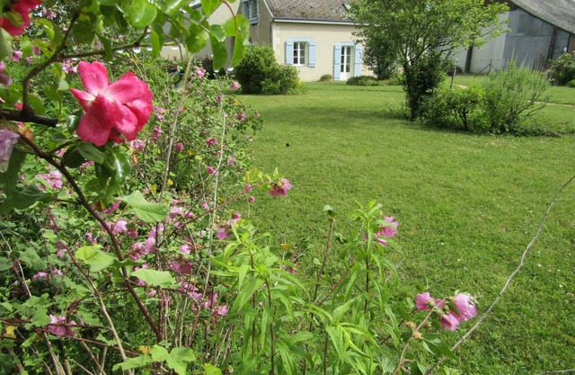 Charming Restored Barn with Large Garden in Tranquil Touraine Countryside