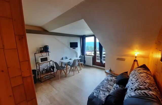 Charming studio cabin with mountain view