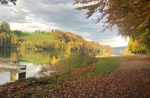 Charming Studio near Rotsee Lucerne Kitchen, WiFi, Washing machine