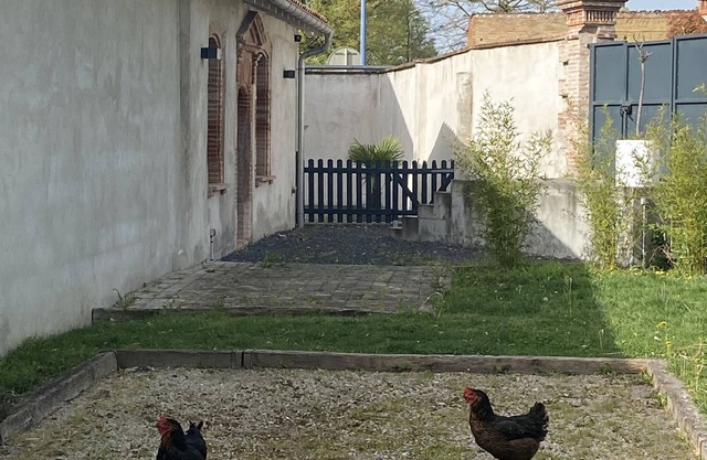 Charming T2-house on the outskirts of Toulouse