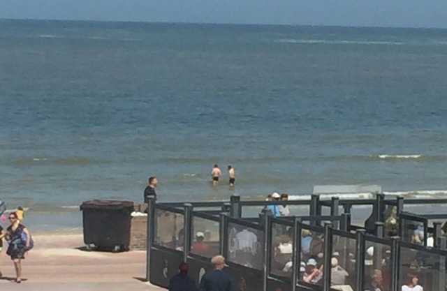 Charming T3 sea view - Bray-Dunes