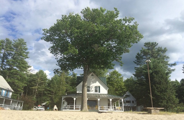 Charming waterfront Mascoma Lake cottage with private beach and dock. ☀️