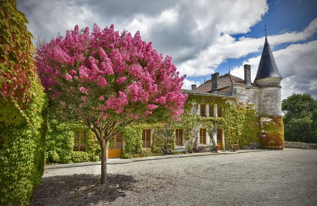 Château du Plessis - a magnificent château in the heart of the Cognac vineyards