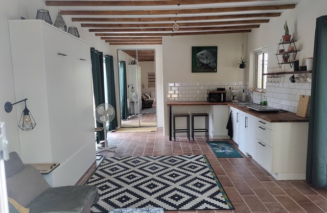 Chez Chapellecountry living in Auch with pool. Pets welcome!