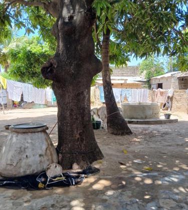 Chez Fatou - Immersion au cœur du Sénégal