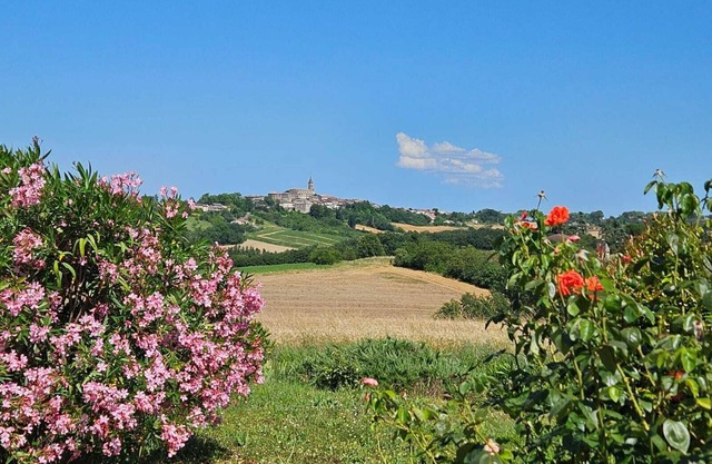 Chez Magali, a relaxing natural setting with swimming pool