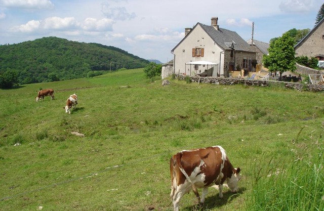Chez Marraine