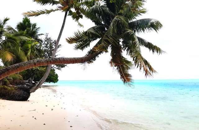 CHEZ VAIANA