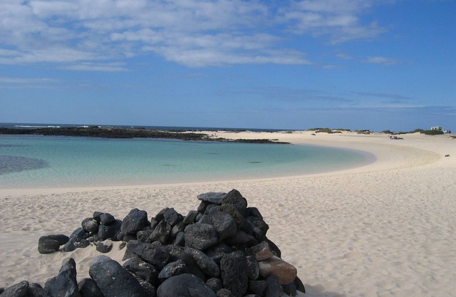 Chic apartment with sea views on a sandy beach, large roof terrace and WiFi