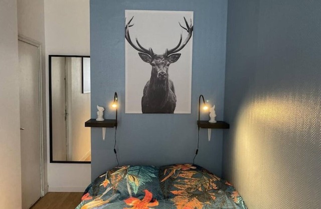 Chic & Cosy F1 Centre Gare Chateaucreux Netflix