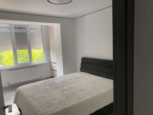 Chirie apartament