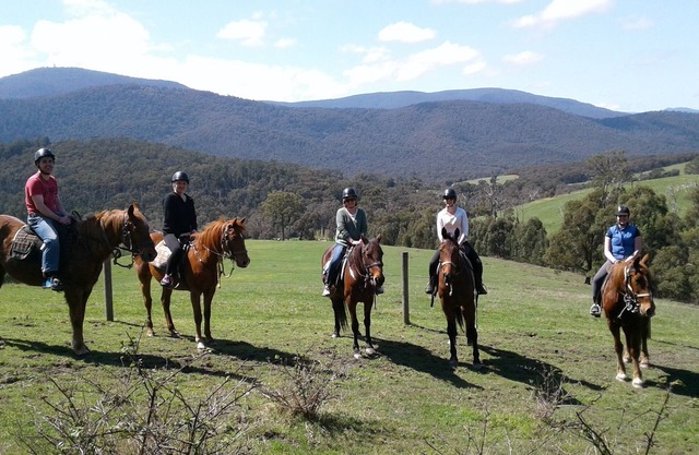 Chum Creek Hut - Luxury Country Cottage on beautiful horse property.