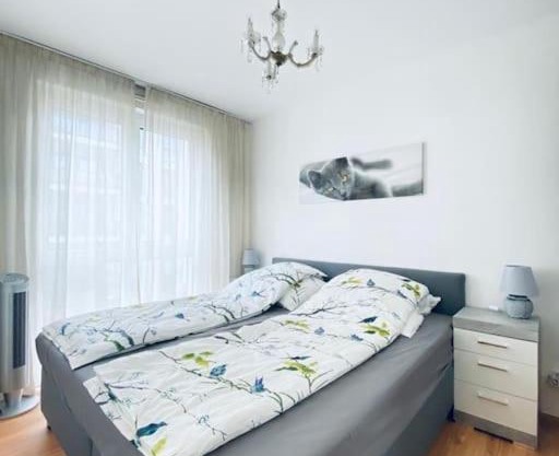 CityCosy ORANGERIE Strasbourg Appartement 2 pièces en face de parc de L'Orangerie avec un parking souterrain compris