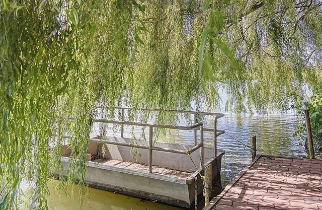 Clairmarais - Gite on an islet for a total change of scenery, at the gateway to the marshes