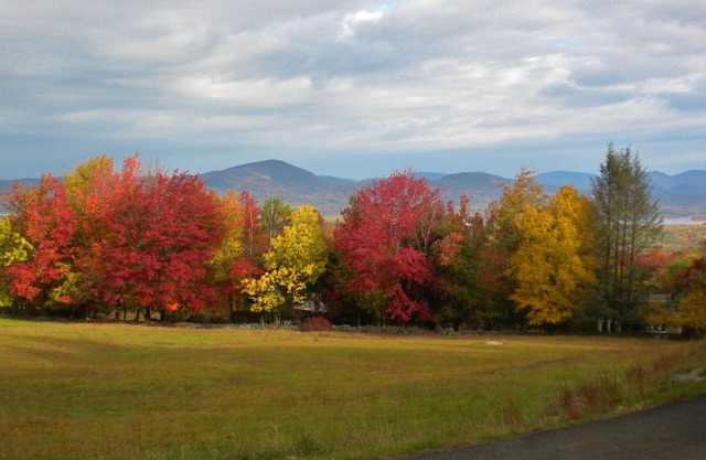 Classic Cottage w/Beautiful Catskill View, onn5 peaceful acres. Weekly discount!
