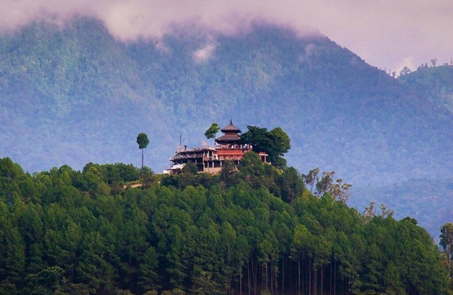clean and green villa