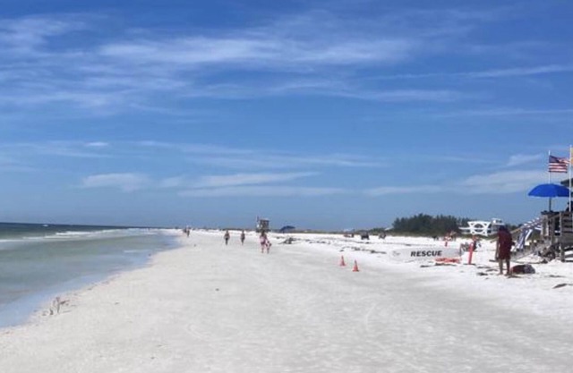 Close to beaches and downtown, Quiet, Impeccable home