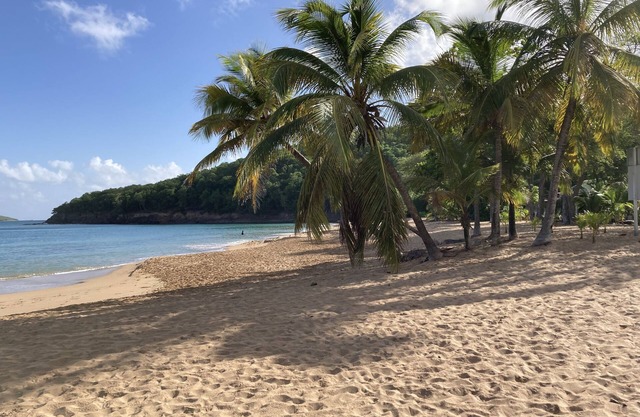 Coco-mango Apt. B, Studio Cosy, vue mer à 250 m de la Plage de la Perle