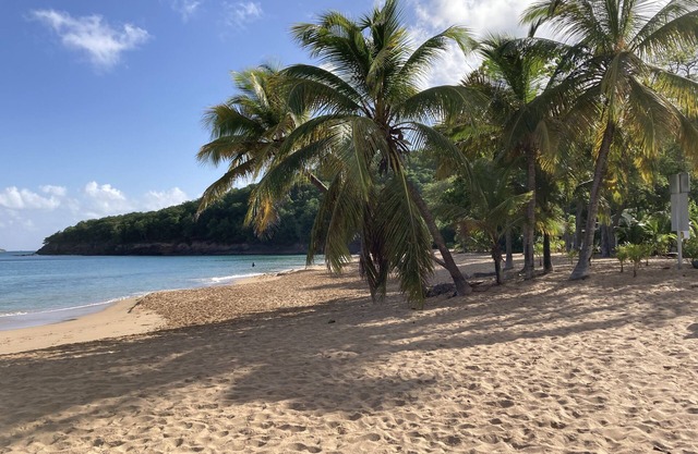 Coco-mango Apt. C vue sur mer à 250 m de la Plage de la Perle