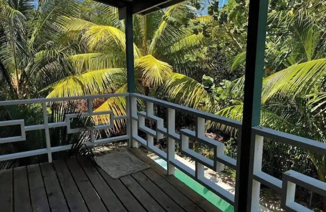 Coconut Drop Villa Maya Beach Belize