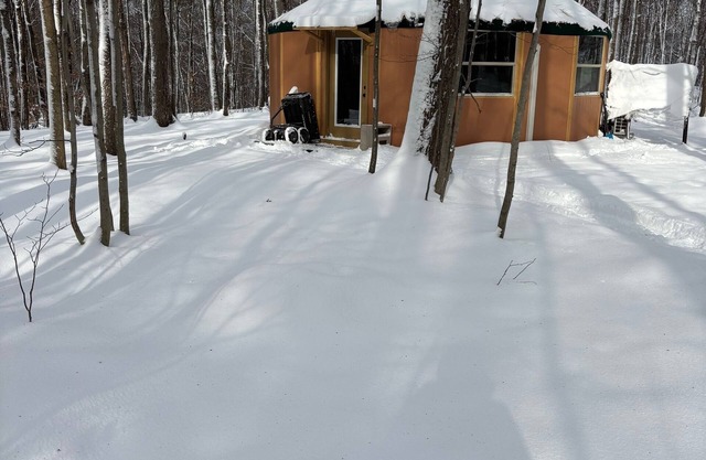 Come visit our magical yurt. Nestled in the woods.