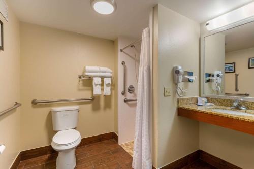 Comfort Inn & Suites Milford