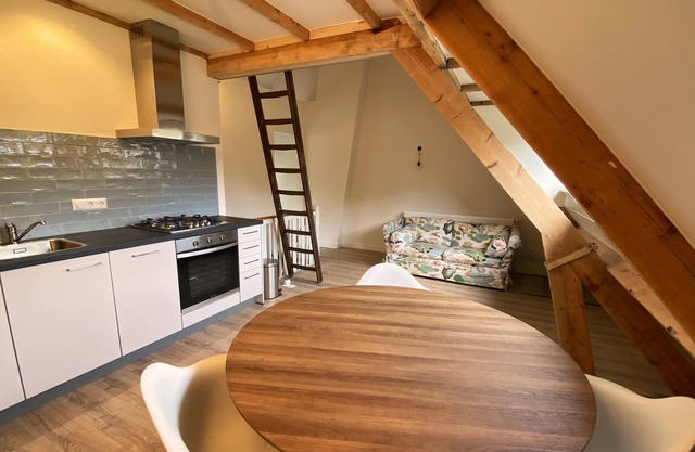 Comfortable apartment in the center of Wageningen