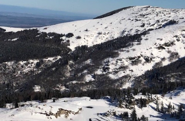 Comfortable, functional apartment 150m from the slopes
