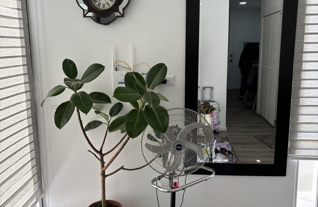Comfortable and nice Apartment in City of Guatemala