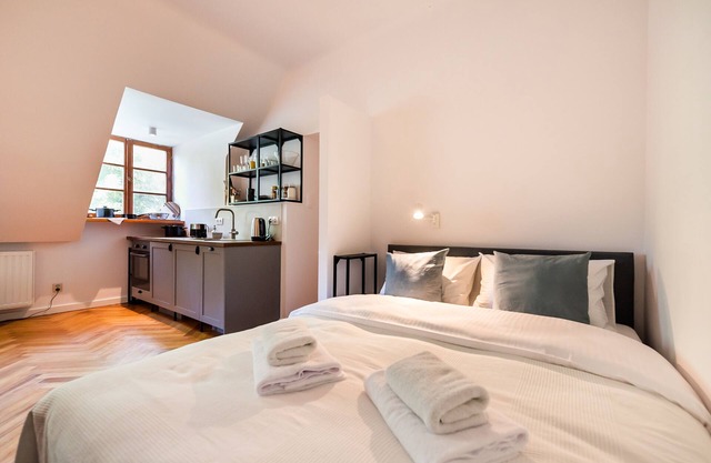 Comfortable Old Town Apartment