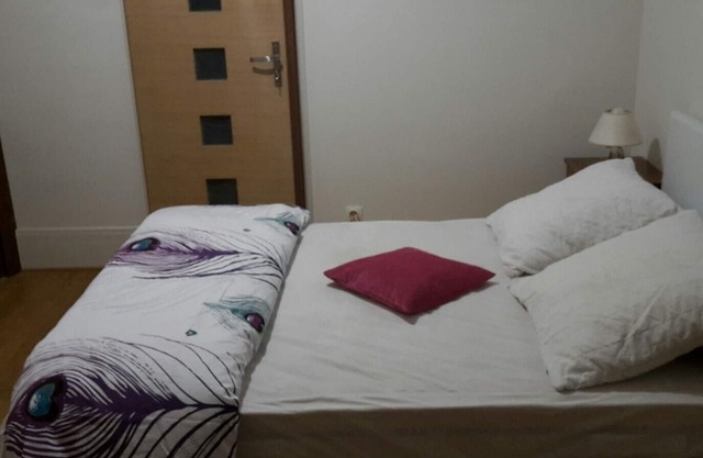 Comfortable one bedroom apartment near Paris center - Notre Dame