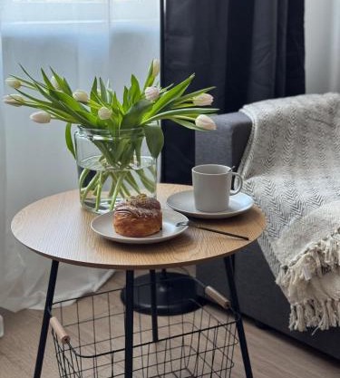 Comfy Center Apartment