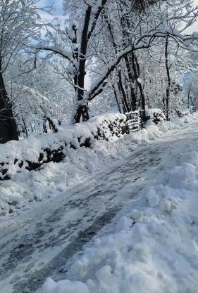 Conifer view guest house