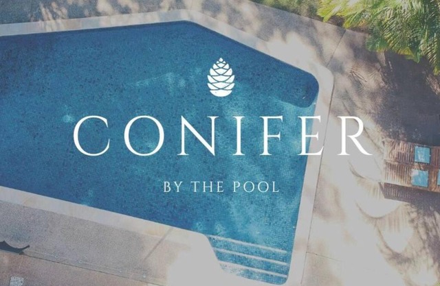 Conifer - Your Private Resort Pool Retreat