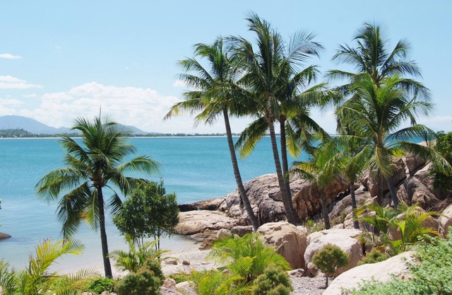 Coral Cove Apartments