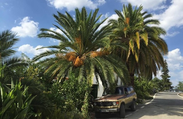 Cortijo located in the middle of Sierra Súbetica with incredible views and landscapes
