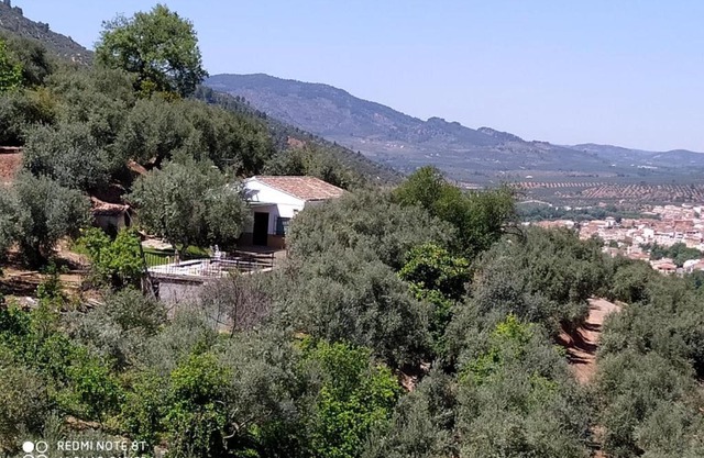 Cortijo las lagunillas