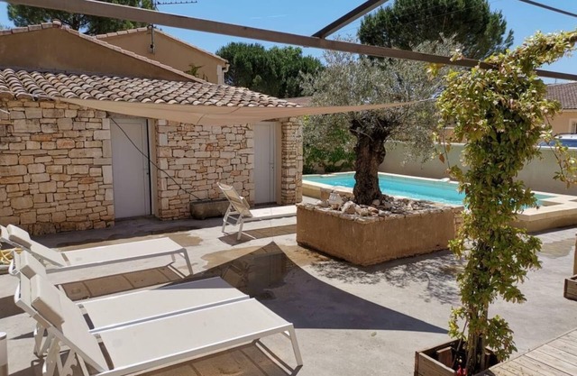 Coste Investissement - Le vieil olivier 5